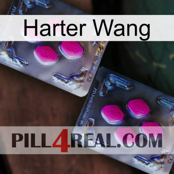 Hard Wang 01